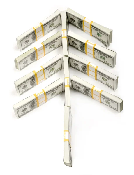 Dolar drzewo — Zdjęcie stockowe