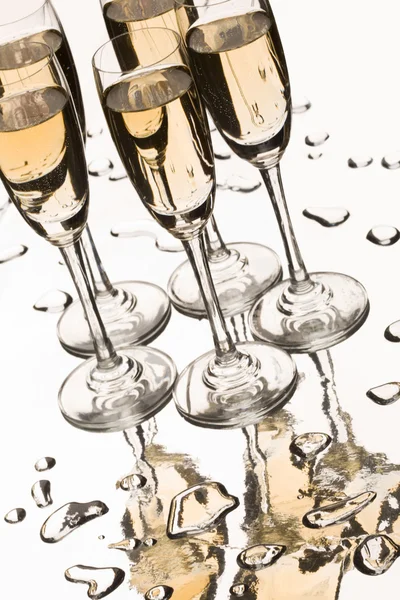 Composição champanhe — Fotografia de Stock