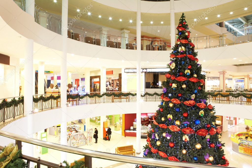 Firtree in the shopping center