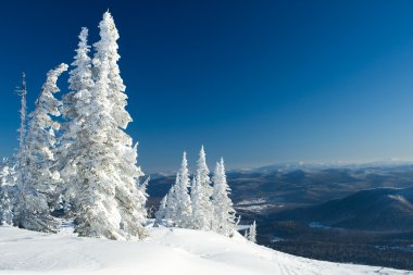 Winter panorama clipart