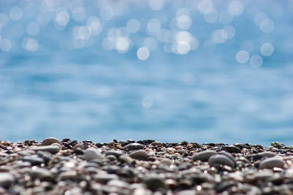 Shore taşlar — Stok fotoğraf