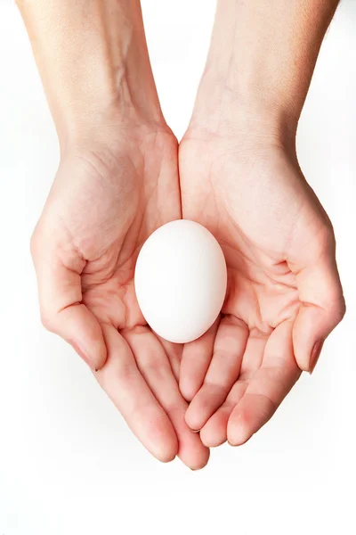 Egg in palms — Stock Photo, Image