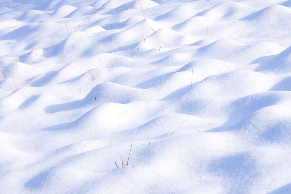 Snow-covered ground