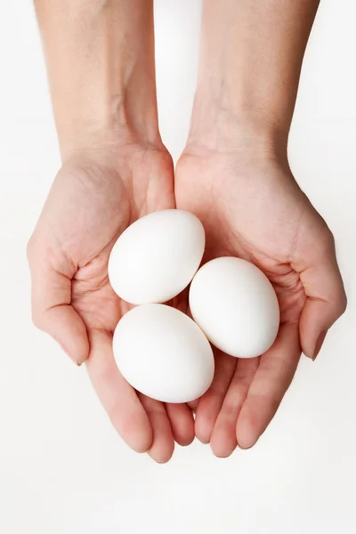 Eggs in hands — Stock Photo, Image
