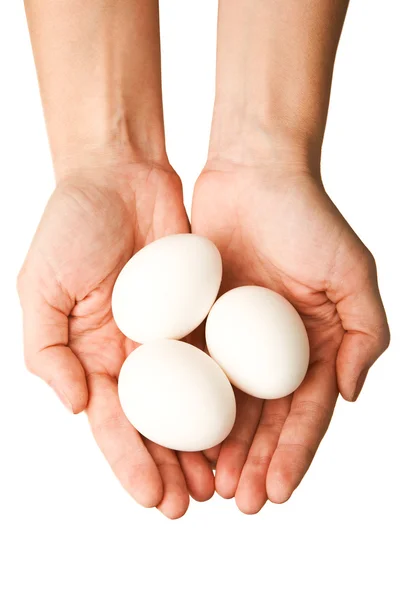 Яйця в руках — стокове фото
