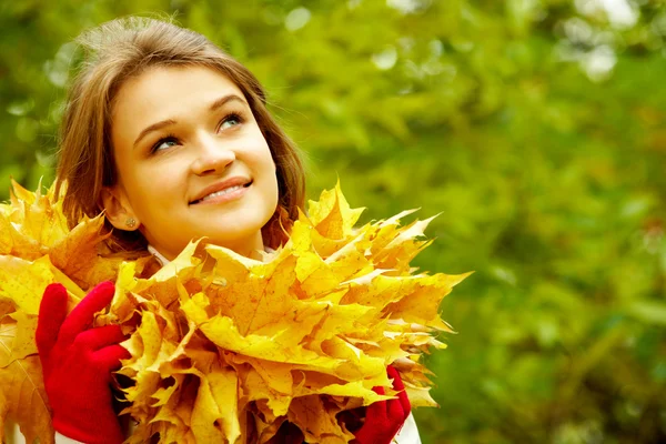 Autumn beauty — Stock Photo, Image
