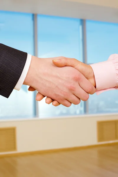 Handshake after negotiations — Stock Photo, Image