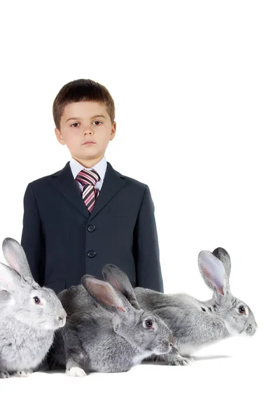 Мальчик и кролики — стоковое фото
