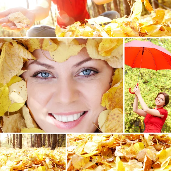 Collage des Herbstes — Stockfoto