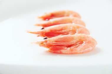 Shrimps clipart