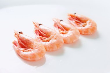 Row of shrimps clipart