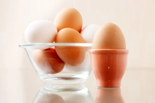 Egg composition — Stock Photo, Image