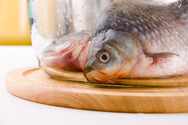 Crucian κυπρίνος ψάρια — Φωτογραφία Αρχείου