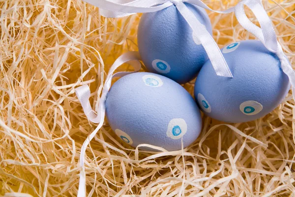 Telur di sarang — Stok Foto