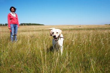 Labrador