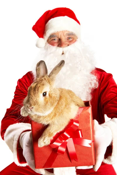 圣诞老人与可爱的小兔子 — 图库照片