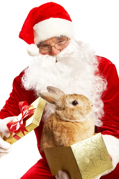 Santa with cute pet — Stock Photo, Image