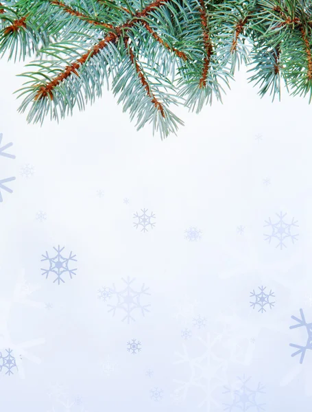 Branch and snowflakes — Stock Photo, Image