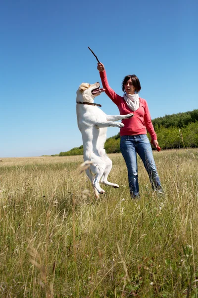 stock image Training