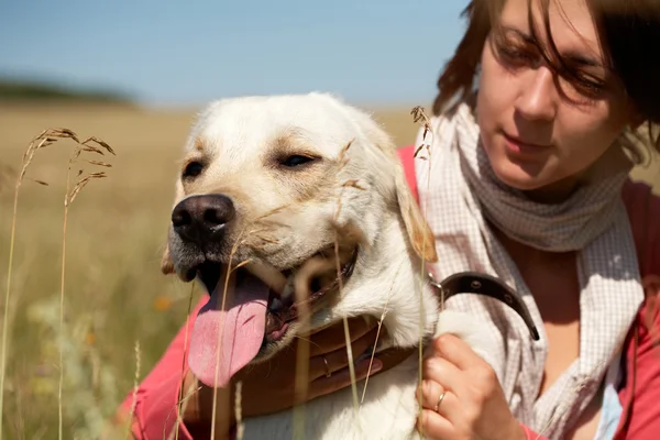 Cão com seu mestre — Fotografia de Stock