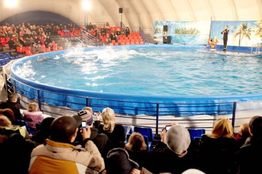 Dolphinarium içinde