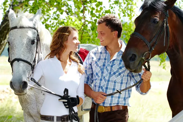 Couple with horses — Stock Photo, Image
