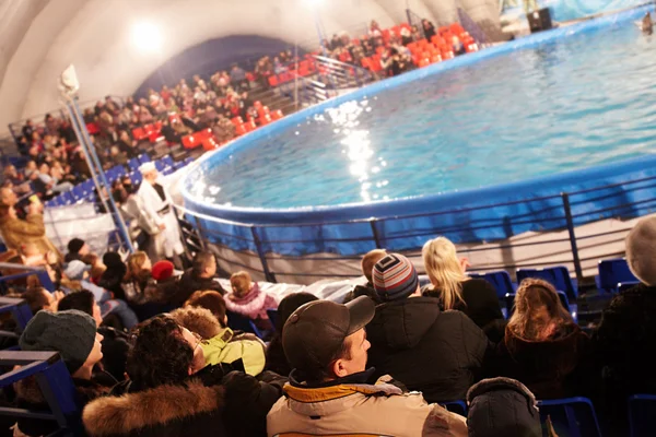 Audience in dolphinarium — Stock Photo, Image