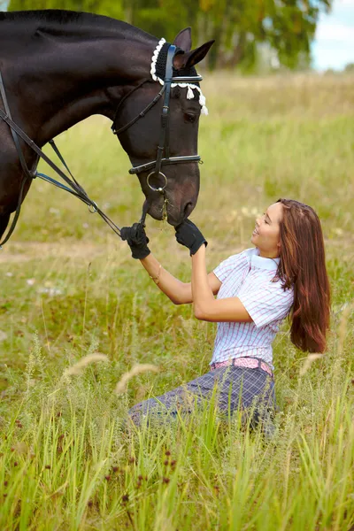 Voeding paard — Stockfoto