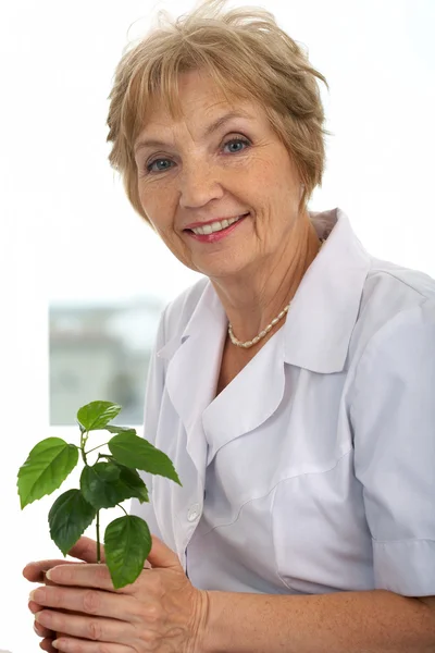 Plant lover — Stock Photo, Image