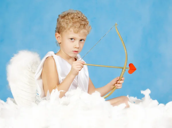 Cupido maschio — Foto Stock