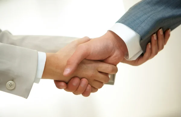 Handshake of partners — Stock Photo, Image