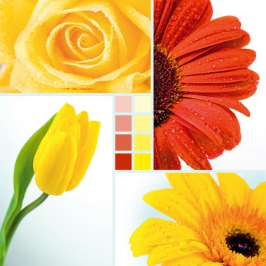 Flowers clipart