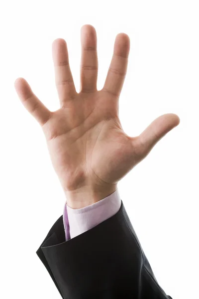 Image Of Male Hand Showing Five Fingers On A White Background Stock Photo,  Picture and Royalty Free Image. Image 12061585.