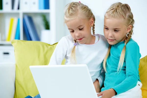 Twins with laptop — Stock Photo, Image