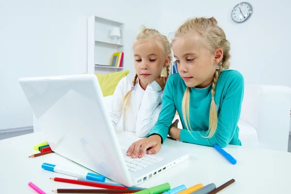 Twins with laptop — Stock Photo, Image