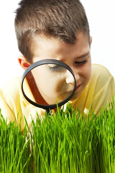 Estudiar la hierba — Foto de Stock
