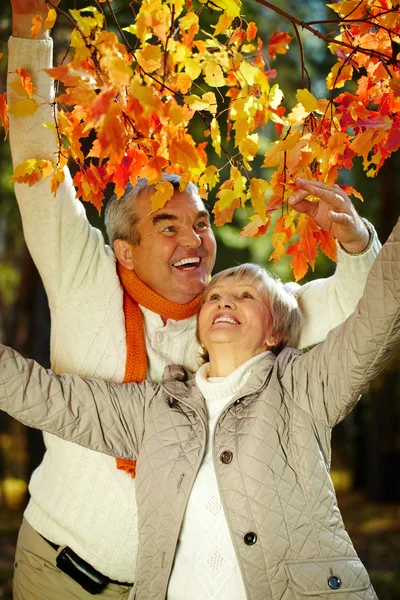 Joy of autumn — Stock Photo, Image