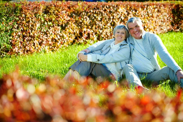 Resting on lawn — Stock Photo, Image