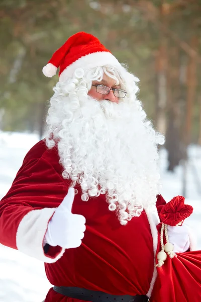 Erfolgreicher Weihnachtsmann — Stockfoto