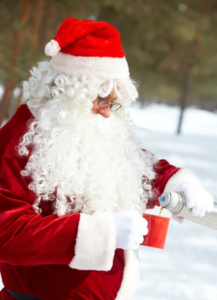 Santa in the forest — Stock Photo, Image
