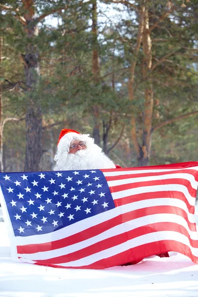 Santa patriot — Stockfoto