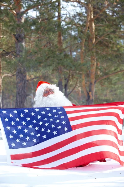 stock image Santa patriot