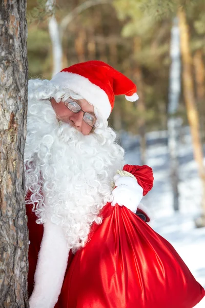 Санта с мешком — стоковое фото