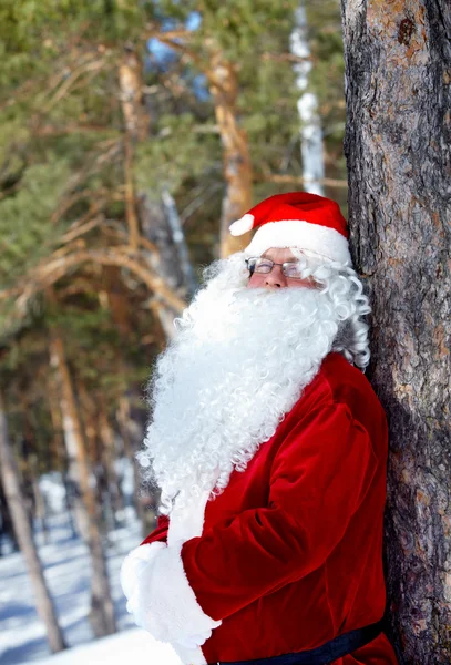 Santa in het bos — Stockfoto