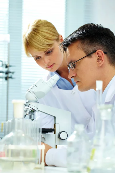 Looking in microscope — Stock Photo, Image