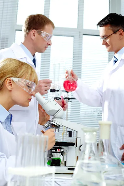Working in lab — Stock Photo, Image