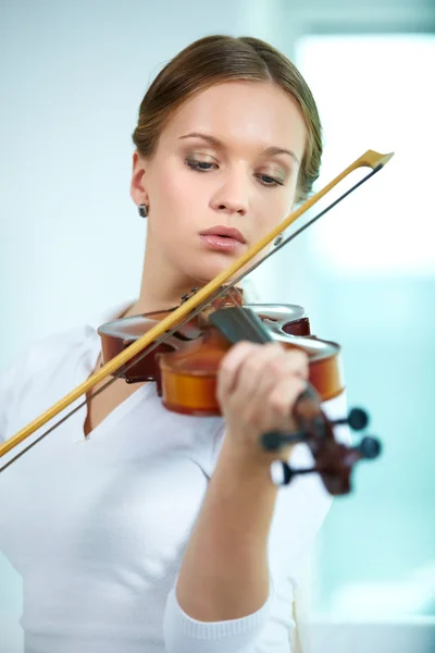 Violinista —  Fotos de Stock