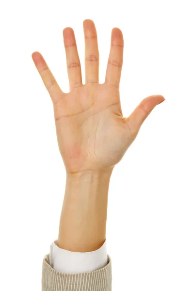 Mostrando palma — Fotografia de Stock