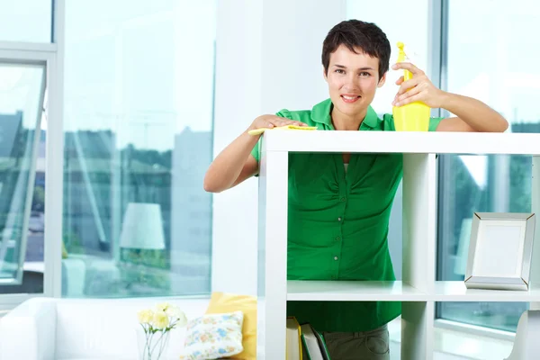 Domestic work — Stock Photo, Image