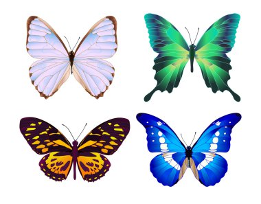 colorful butterflies clipart